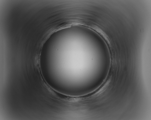 X0000089831385200706281204