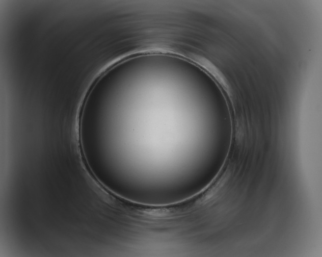 X0000089831388200706281204