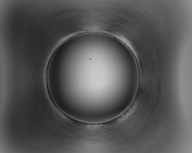 X0000089831389200706281204