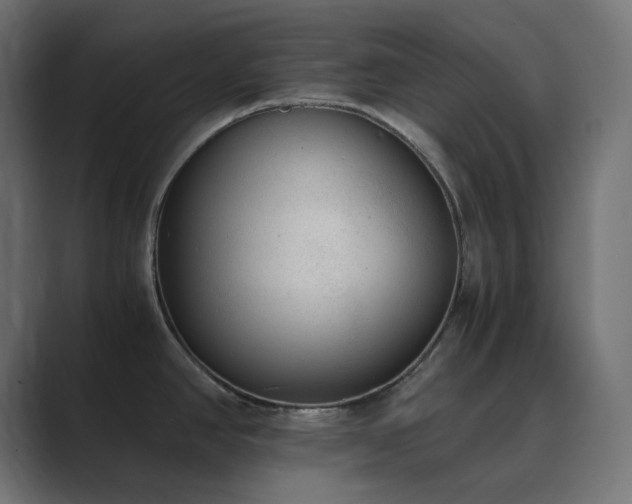 X0000089831390200706281204