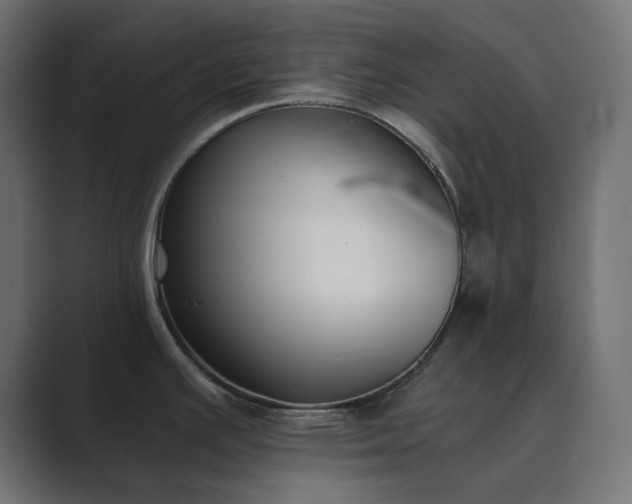 X0000089831391200706281204