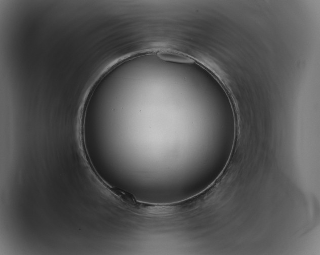X0000089831392200706281204