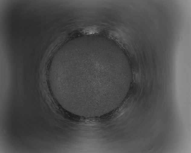 X0000089831393200706281203