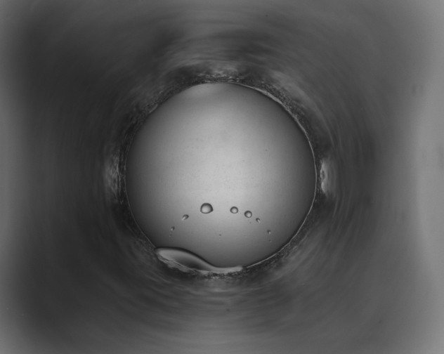 X0000089831395200706281203