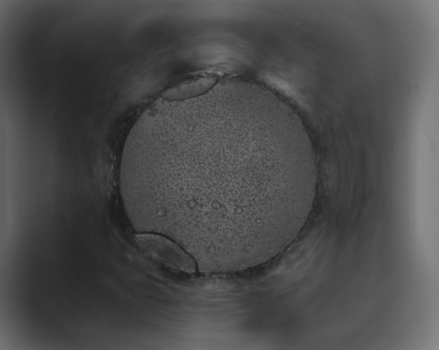 X0000089831399200706281203