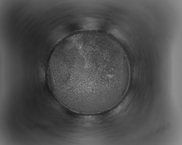 X0000089831401200706281203
