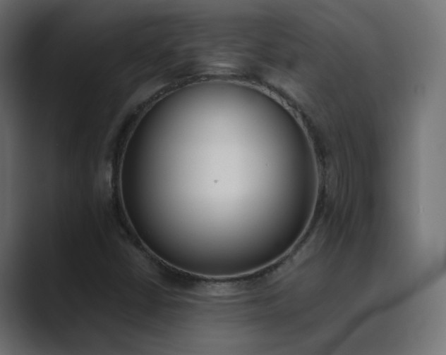 X0000089831402200706281203