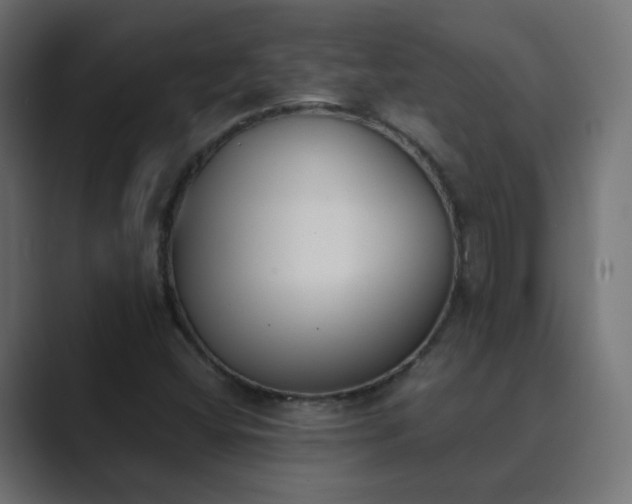 X0000089831404200706281203