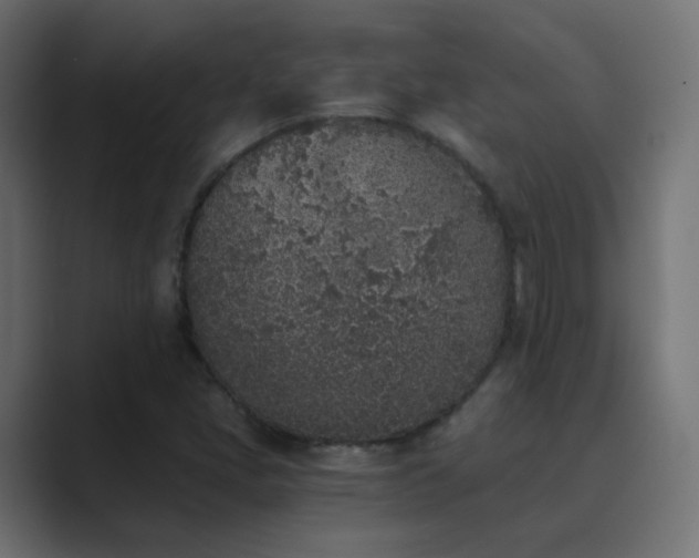X0000089831405200706281203