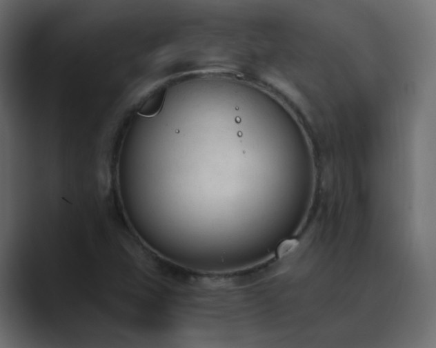 X0000089831407200706281203