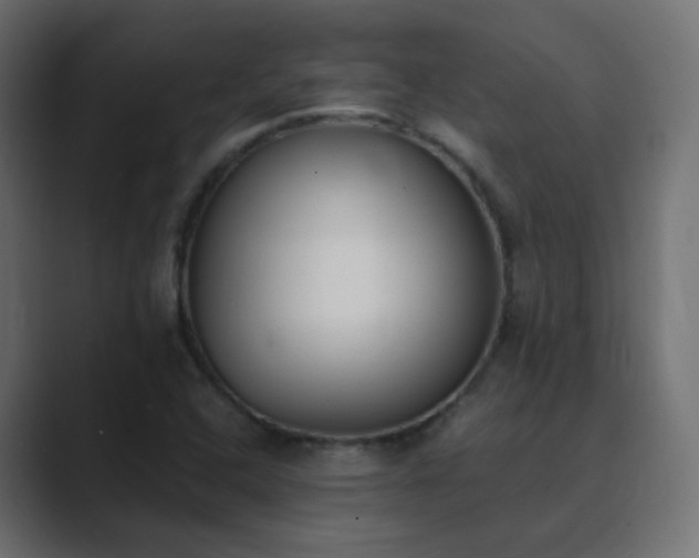 X0000089831408200706281203