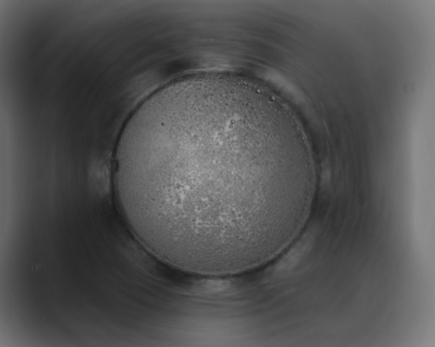 X0000089831409200706281203