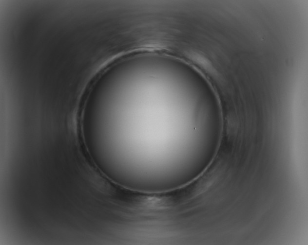 X0000089831412200706281203