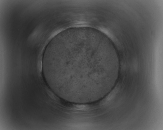 X0000089831413200706281203