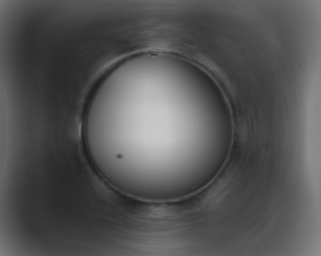 X0000089831416200706281203