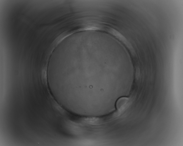 X0000089831417200706281203