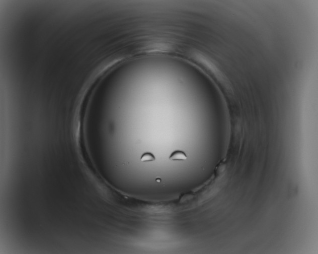 X0000089831418200706281203