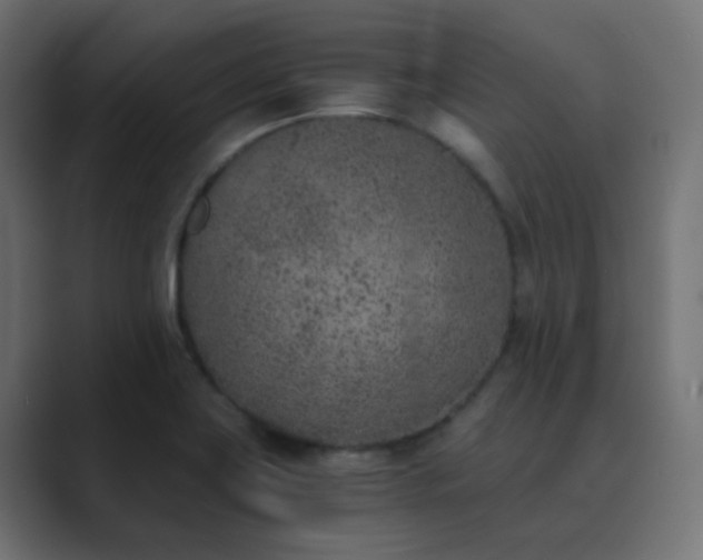 X0000089831419200706281203