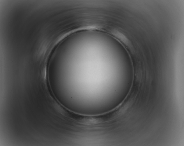 X0000089831420200706281203