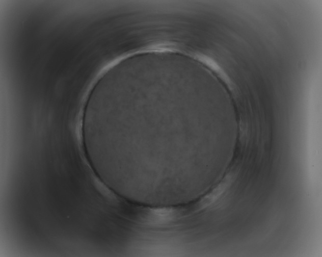 X0000089831421200706281203