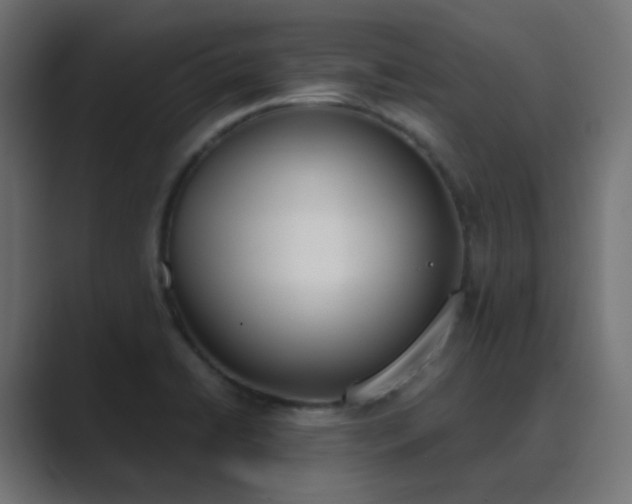 X0000089831422200706281203