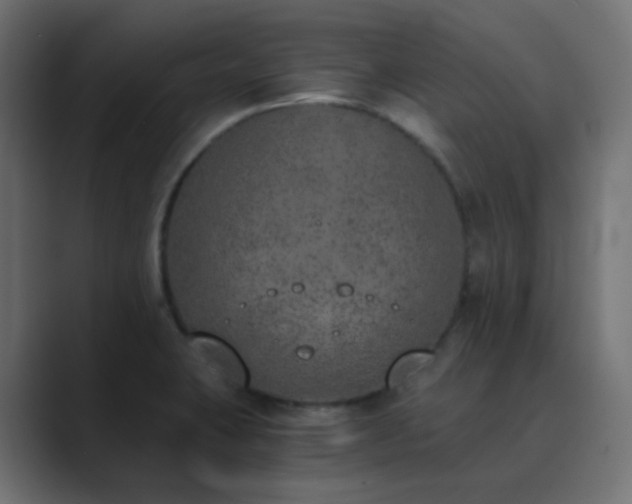 X0000089831423200706281203