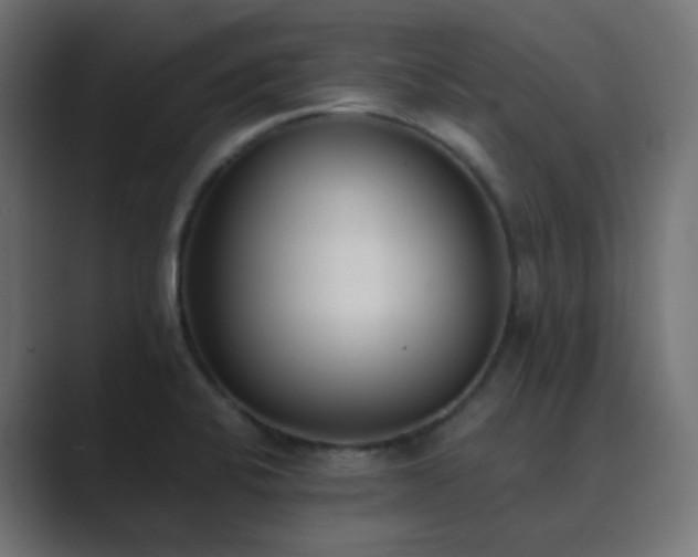 X0000089831424200706281203