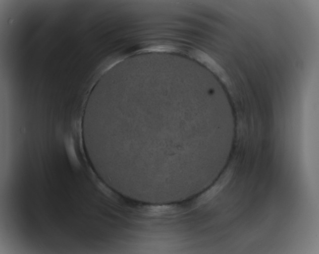X0000089831425200706281203