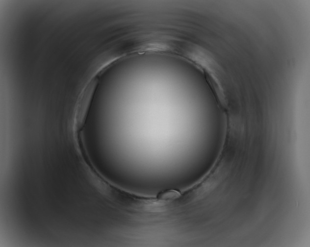 X0000089831426200706281203