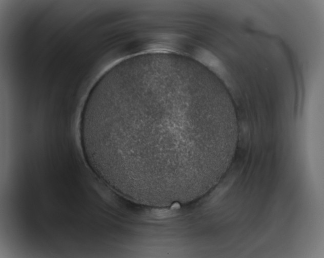 X0000089831427200706281203