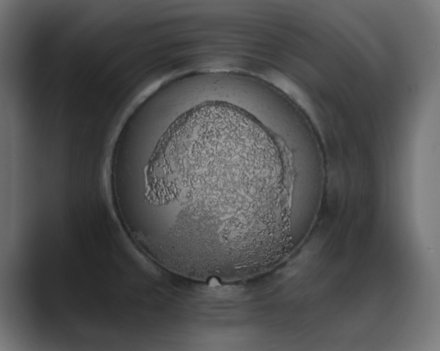 X0000089831429200706281203