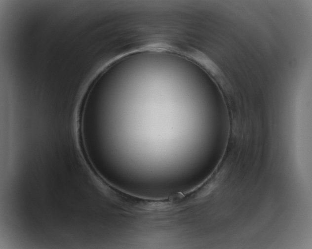 X0000089831430200706281203