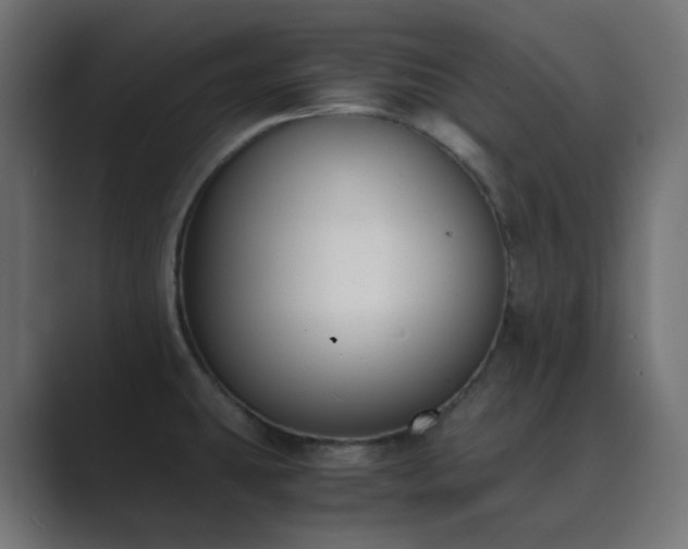 X0000089831431200706281203