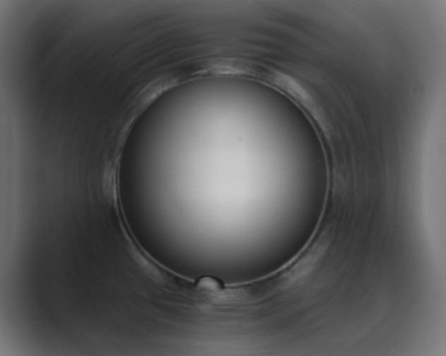 X0000089831433200706281203