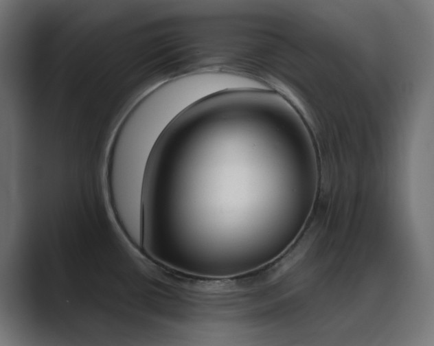 X0000089831434200706281203
