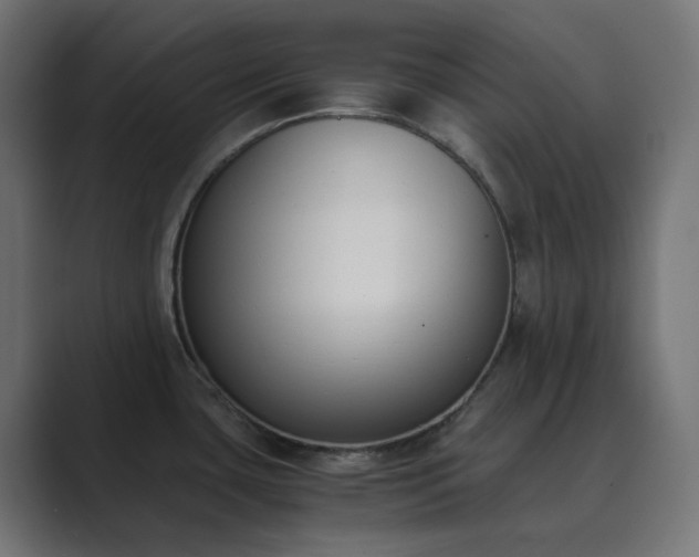 X0000089831435200706281204