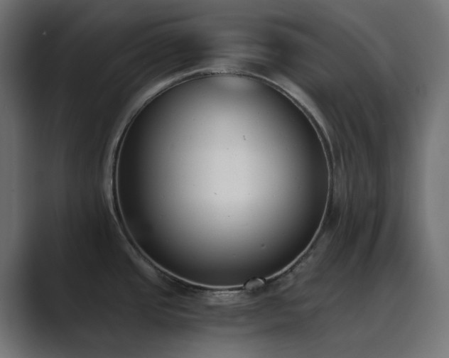 X0000089831437200706281204