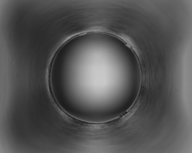 X0000089831438200706281204