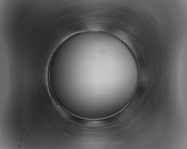 X0000089831439200706281204