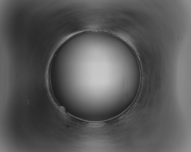 X0000089831440200706281204