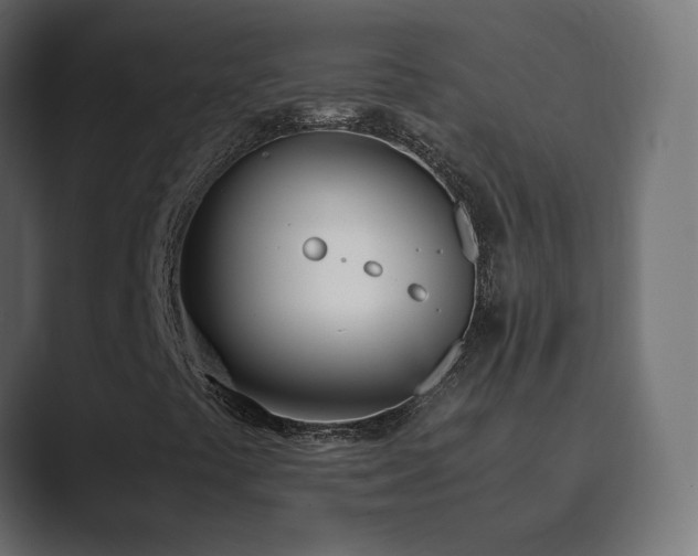X0000089831441200706281203