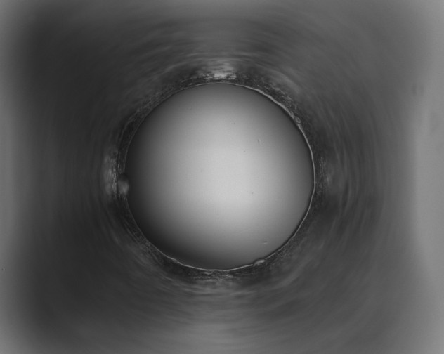 X0000089831442200706281203