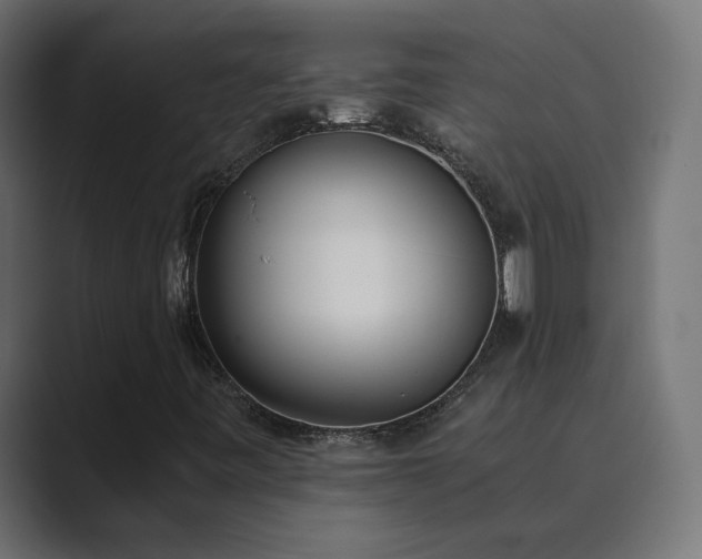 X0000089831443200706281203