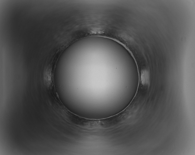 X0000089831444200706281203