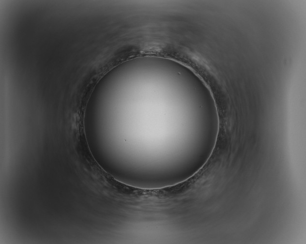 X0000089831445200706281203
