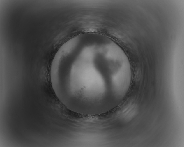 X0000089831446200706281203