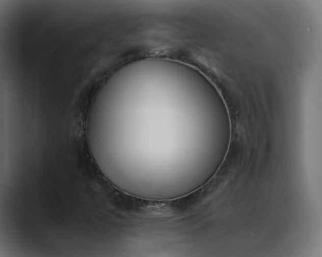 X0000089831447200706281203