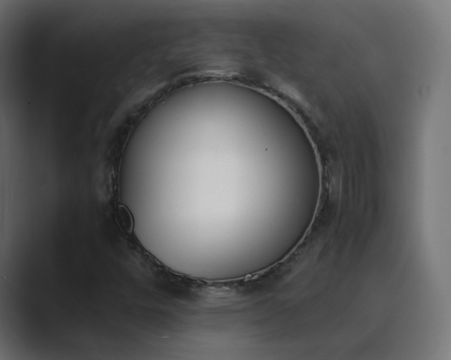 X0000089831448200706281203
