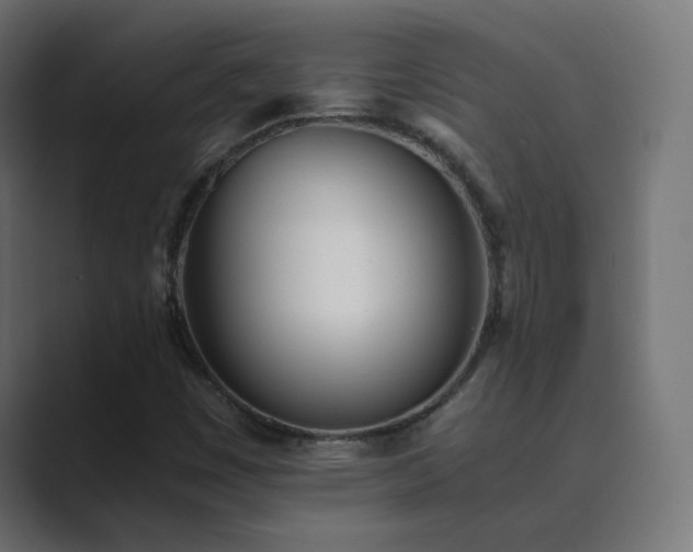 X0000089831449200706281203