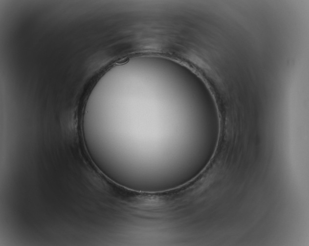 X0000089831450200706281203